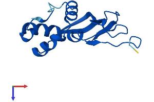 TRMT112 Protein (AA 1-125) (His tag)