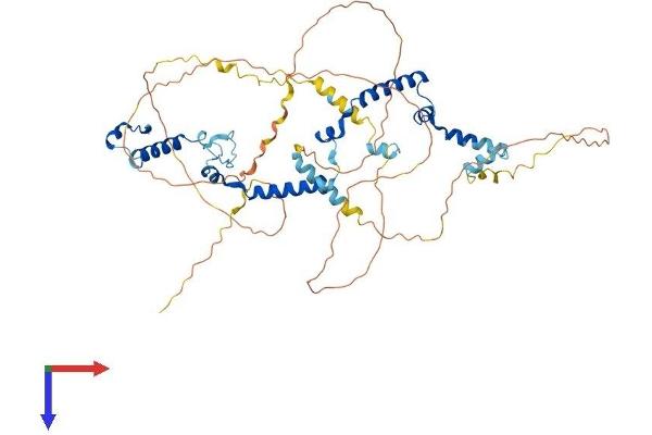 PHACTR3 Protein (AA 1-558) (His tag)