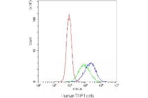 Flow cytometry testing of human THP1 cells with DC-SIGN antibody at 1ug/10^6 cells (blocked with goat sera)