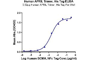 ELISA image for Tumor Necrosis Factor (Ligand) Superfamily, Member 13 (TNFSF13) (AA 112-250), (Trimer) protein (His-DYKDDDDK Tag) (ABIN7273873)