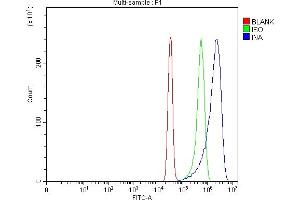 Flow Cytometry analysis of SiHa cells using anti-Alpha Internexin antibody (ABIN4886634). (INA Antikörper  (AA 71-161))
