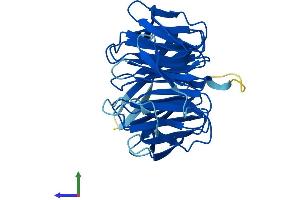 Protein Structure (PS) image for Guanine Nucleotide Binding Protein (G Protein), beta Polypeptide 2-Like 1 (GNB2L1) (AA 1-317) protein (His tag) (ABIN7563506)