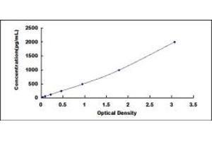 Typical standard curve (NRN1 ELISA Kit)