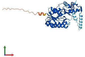Protein Structure (PS) image for NAD(P) Dependent Steroid Dehydrogenase-Like (NSDHL) (AA 1-362) protein (His tag) (ABIN7556215)