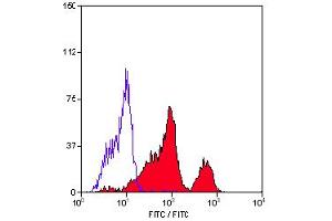 Staining of human peripheral blood lymphocytes with Mouse Anti Human CD226:Azid free (CD226 Antikörper)