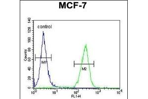 MYLIP Antibody (Center) (ABIN651508 and ABIN2840270) flow cytometric analysis of MCF-7 cells (right histogram) compared to a negative control cell (left histogram). (MYLIP Antikörper  (AA 111-139))