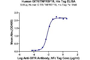 ELISA image for Tumor Necrosis Factor Receptor Superfamily, Member 18 (TNFRSF18) (AA 26-161) protein (His tag) (ABIN7274786)
