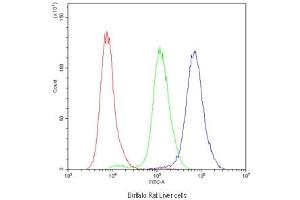 Flow cytometry testing of Buffalo rat liver (BRL 3A) cells with NTCP antibody at 1ug/10^6 cells (blocked with goat sera)