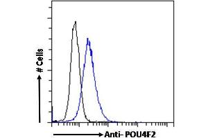 ABIN6391381 Flow cytometric analysis of paraformaldehyde fixed MCF7 cells (blue line), permeabilized with 0. (POU4F2 Antikörper  (Internal Region))