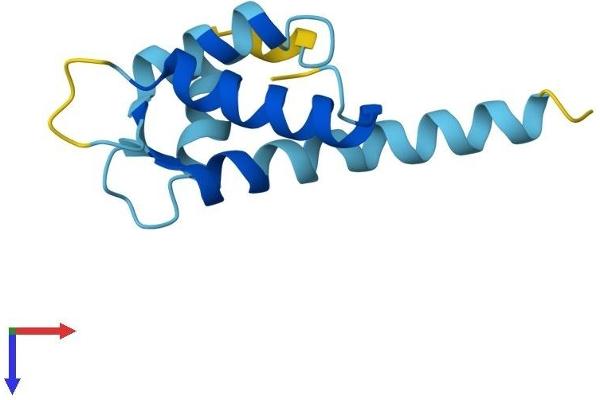 S100A16 Protein (AA 1-103) (His tag)