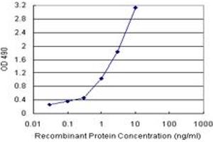 Sandwich ELISA detection sensitivity ranging from 0.
