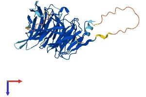 TSSC1 Protein (AA 1-387) (His tag)