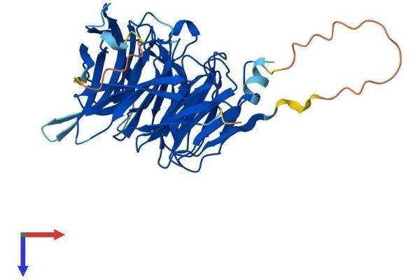 TSSC1 Protein (AA 1-387) (His tag)
