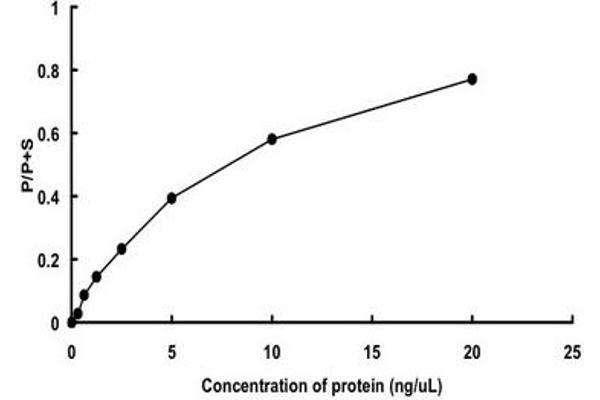CAMK1 Protein (AA 1-370) (GST tag)