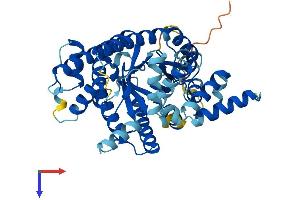 PRODH2 Protein (AA 1-456) (His tag)