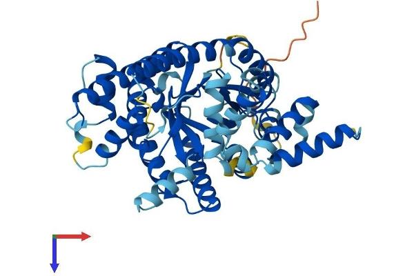 PRODH2 Protein (AA 1-456) (His tag)