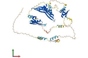 Protein Structure (PS) image for Double-stranded RNA-binding protein Staufen homolog 2 (STAU2) (AA 1-570) protein (His tag) (ABIN7559388)