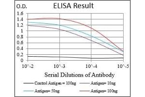 Black line: Control Antigen (100 ng), Purple line: Antigen(10 ng), Blue line: Antigen (50 ng), Red line: Antigen (100 ng), (Importin 9 Antikörper  (AA 453-680))
