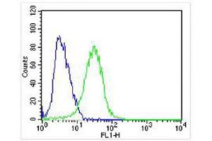 Overlay histogram showing SH-SY5Y cells stained with (ABIN652381 and ABIN2841827) (green line). (TrkA-pY791 (AA 769-796) Antikörper)