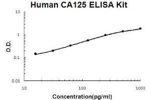 Human CA125/MUC16 PicoKine ELISA Kit standard curve (MUC16 ELISA Kit)
