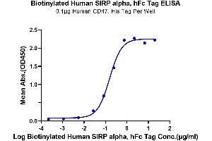 ELISA image for Signal-Regulatory Protein alpha (SIRPA) (AA 31-370) protein (Fc-Avi Tag,Biotin) (ABIN7275673)