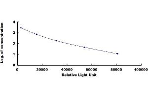 ELISA image for Adrenocorticotropic hormone (ACTH) CLIA Kit (ABIN4947329)