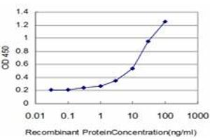 Detection limit for recombinant GST tagged AGER is approximately 0. (RAGE Antikörper  (AA 23-404))