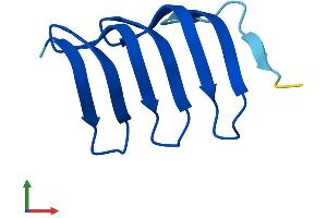 AlphaFold protein structure predicition of Human Recombinant MORN2 Protein, UniprotID Q502X0 (MORN2 Protein (AA 1-79) (Fc Tag))