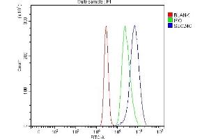 Flow Cytometry analysis of K562 cells using anti-SEC24C antibody (ABIN7600303). (SEC24C Antikörper  (AA 178-1033))