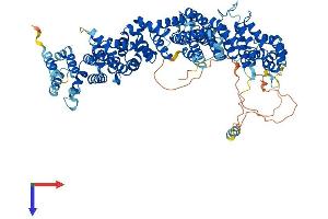 TELO2 Protein (AA 1-837) (His tag)