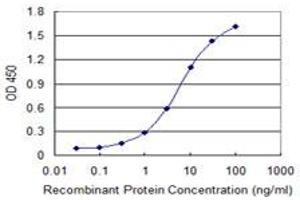 Detection limit for recombinant GST tagged FOXC2 is 0. (FOXC2 Antikörper  (AA 156-256))