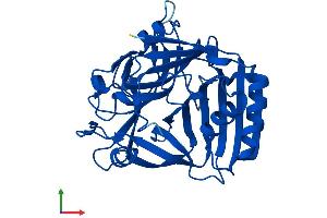 Protein Structure (PS) image for Chromosome 11 Open Reading Frame 54 (C11orf54) (AA 1-315) protein (His tag) (ABIN7546522)