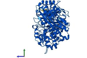 Protein Structure (PS) image for Phosphoglucomutase 1 (PGM1) (AA 1-562) protein (His tag) (ABIN7560834)
