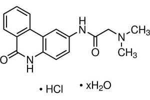 Chemical structure of PJ-34 , a PARP inhibitor.