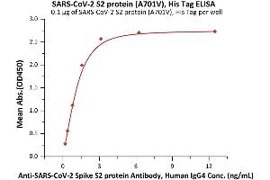 Immobilized SARS-CoV-2 S2 protein (A701V), His Tag (ABIN6992376) at 1 μg/mL (100 μL/well) can bind A-CoV-2 Spike S2 protein Antibody, Human IgG4 (S2N-S86) with a linear range of 0.