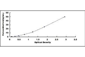 Typical standard curve (FTL ELISA Kit)