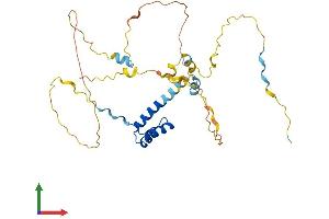 Protein Structure (PS) image for BarH-Like Homeobox 1 (BARHL1) (AA 1-327) protein (His tag) (ABIN7556649)