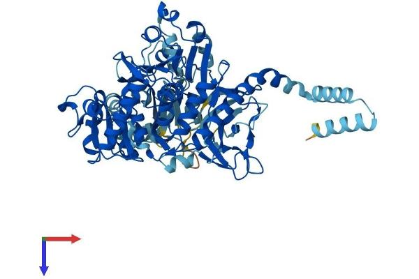 SLC27A4 Protein (AA 1-643) (His tag)