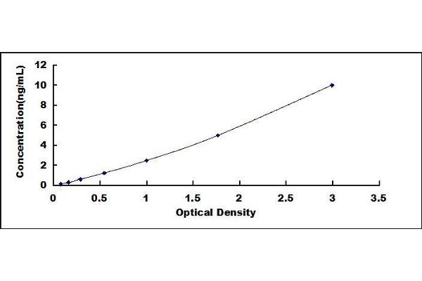 CES1 ELISA Kit