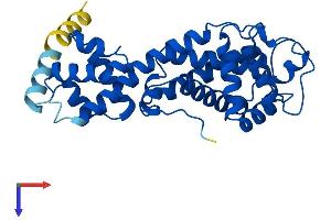 ELMOD2 Protein (AA 1-293) (His tag)