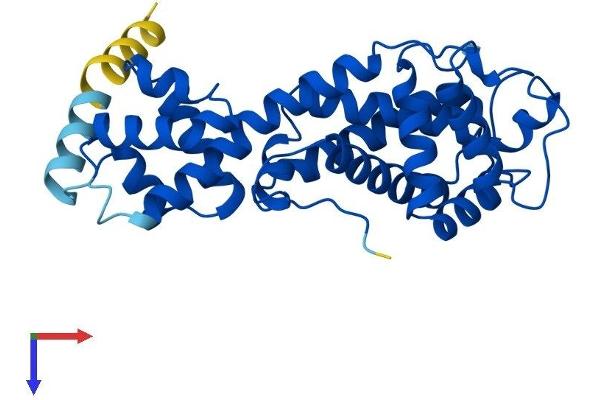 ELMOD2 Protein (AA 1-293) (His tag)