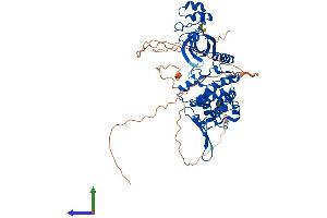 Protein Structure (PS) image for Dual-Specificity tyrosine-(Y)-phosphorylation Regulated Kinase 3 (DYRK3) (AA 1-586) protein (His tag) (ABIN7560243)