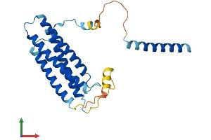 Protein Structure (PS) image for Regulator of G Protein Signaling 9 Binding Protein (RGS9BP) (AA 1-235) protein (His tag) (ABIN7551153)