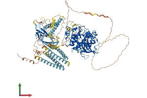 Protein Structure (PS) image for Protein Kinase N2 (PKN2) (AA 1-984) protein (His tag) (ABIN7555028)