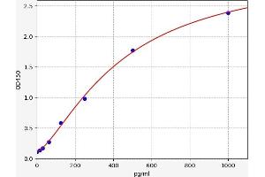 PYGB ELISA Kit