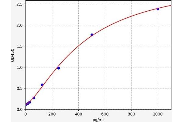 PYGB ELISA Kit