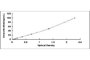 Desmoglein 1 (DSG1) ELISA Kit