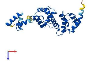 DCUN1D1 Protein (AA 1-259) (His tag)