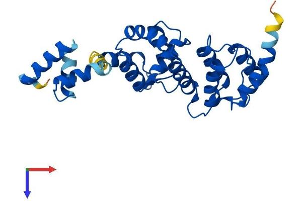 DCUN1D1 Protein (AA 1-259) (His tag)