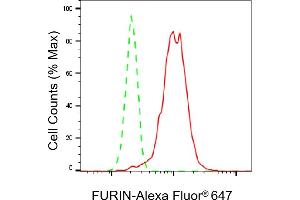Flow cytometric analysis of FURIN expression in HeLa cells using FURIN antibody (ABIN7798668), 1:2,000).